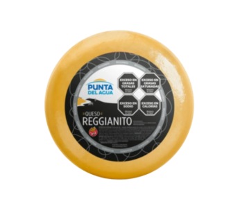 PUNTA DEL AGUA queso reggianito