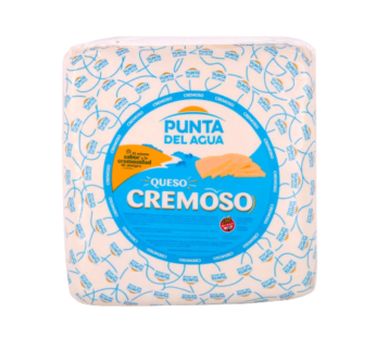 PUNTA DEL AGUA queso cremoso