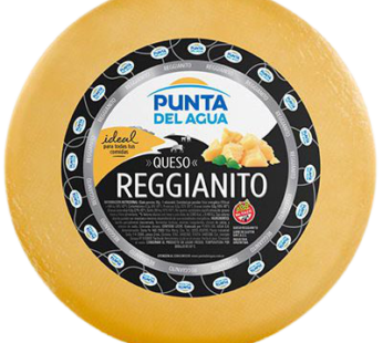 PUNTA DEL AGUA queso reggianito