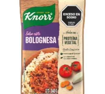 KNORR salsa bolognesa x340gd/p