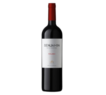 BENJAMIN vino malbec x750cc