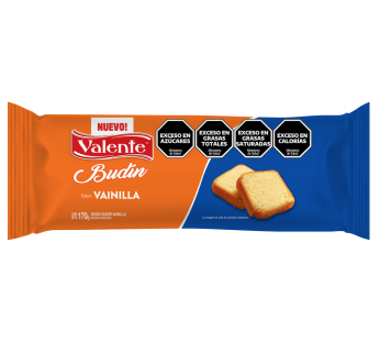 VALENTE budin vainilla x170g