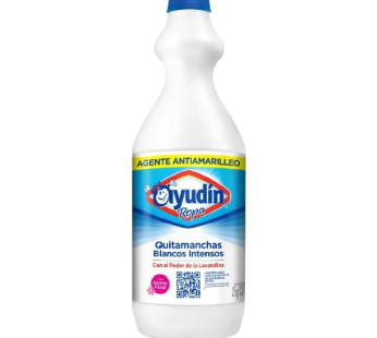 AYUDIN lavandina ropa blanca x1Lt