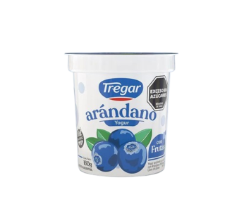 TREGAR yogur entero arandano x160g