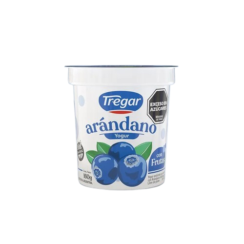 TREGAR yogur entero arandano x160g